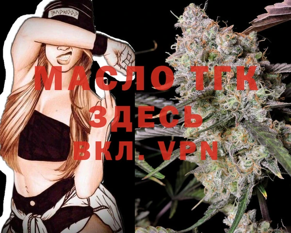 ECSTASY Тайга