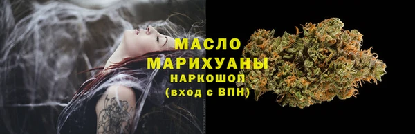 индика Тобольск