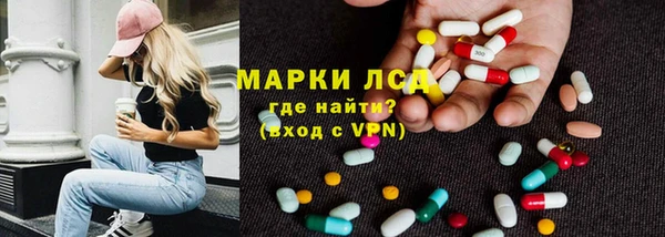 ECSTASY Тайга