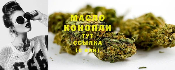 ECSTASY Тайга
