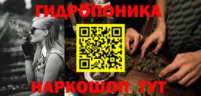 ешки Дубна
