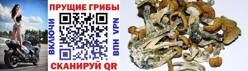 наркошоп  Раменское  Галлюциногенные грибы ЛСД 